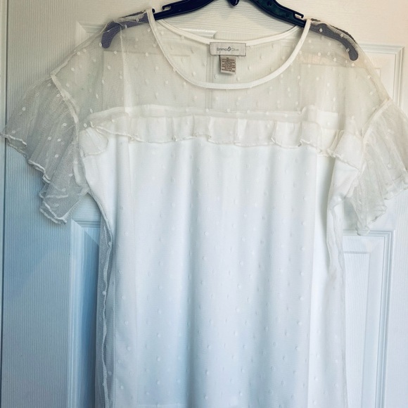 Emma & Olive Ivory Lined Mesh Overlay Top -NWOT - Picture 9 of 9